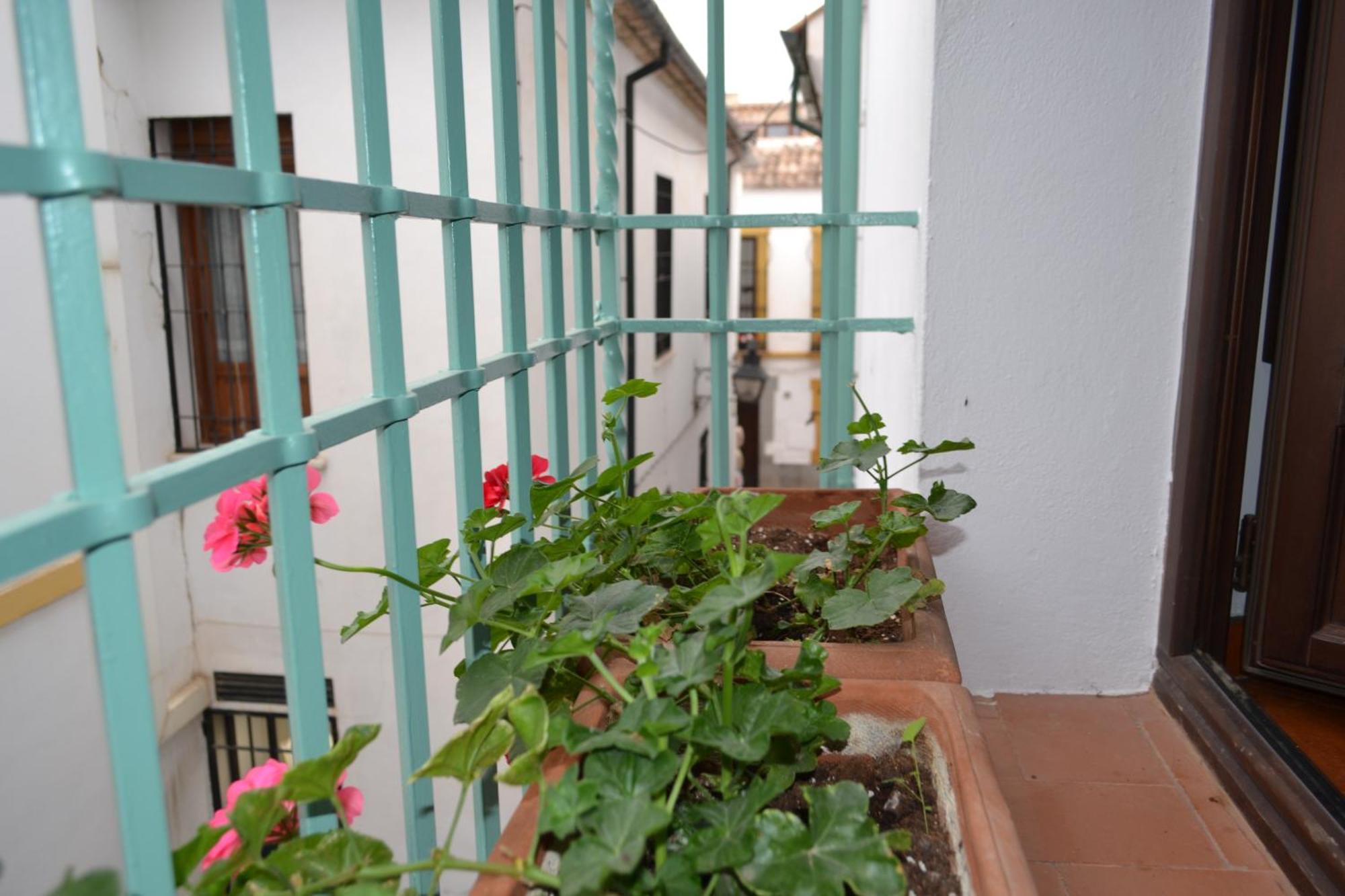 Sunshine Patio De La Hoguera Apartment Córdoba Exterior foto
